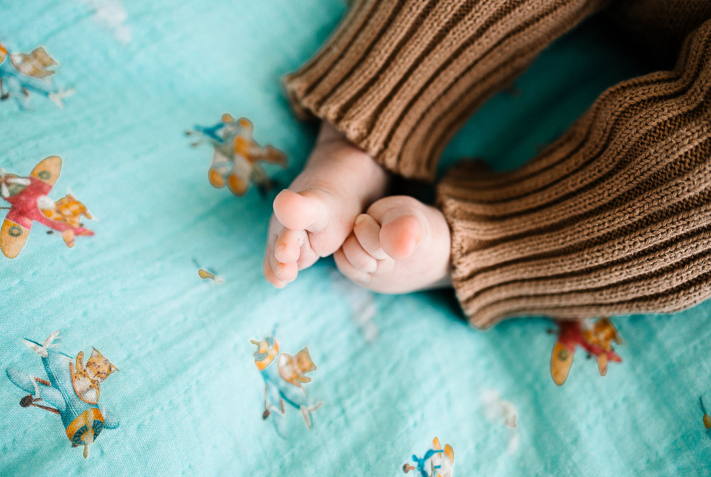 Blue Animal Aviation Swaddle Blanket